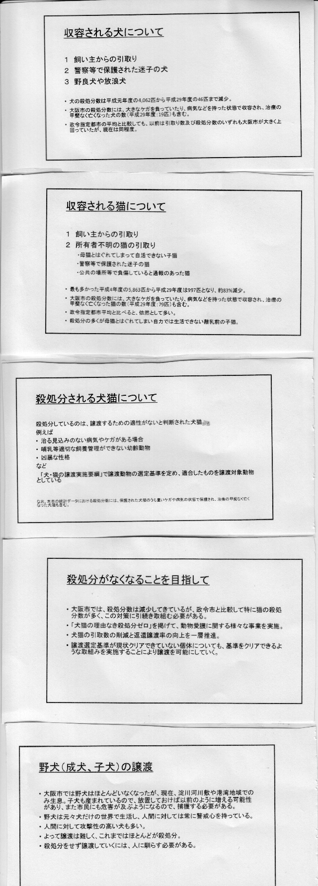 大阪市の犬猫の動物管理に関する方針_2。