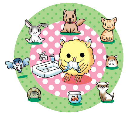 �����������E�l�b���ʊ����Ǘ\�h