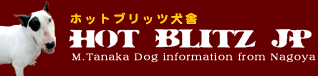 �T�|�[�^�[�FHOT BLITZ JP(�z�b�g�u���b�c����)�l�̃����N�o�i�[