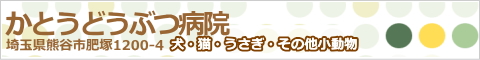 �T�|�[�^�[�F���Ƃ��ǂ��Ԃa�@�l�̃����N�o�i�[