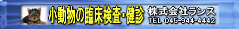 �T�|�[�^�[�F������Ѓ����X�l�̃����N�o�i�[