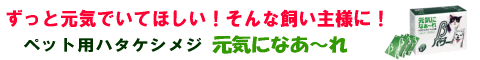 �T�|�[�^�[�F������Г������C���l�̃����N�o�i�[