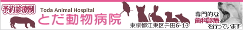 サポーター:とだ動物病院様のリンクバナー