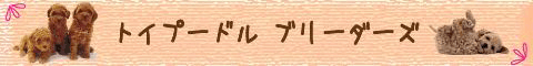 �T�|�[�^�[�F�g�C�v�[�h���E�u���[�_�[�Y�l�̃����N�o�i�[