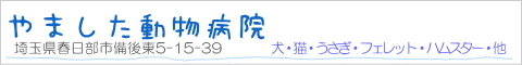 �T�|�[�^�[�F��܂��������a�@�l�̃����N�o�i�[