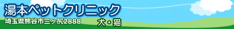 �T�|�[�^�[�F���{�y�b�g�N���j�b�N�l�̃����N�o�i�[