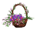 ></a><a href=