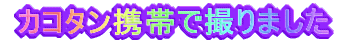  JR^gтŎB܂