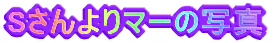 S}[̎ʐ^