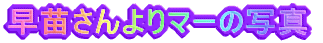 c}[̎ʐ^