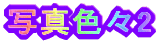 ʐ^FX2